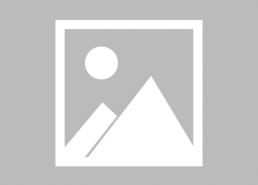 娱乐吃瓜酱牛奶猫